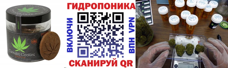 Canna-Cookies марихуана  mega рабочий сайт  Навашино 